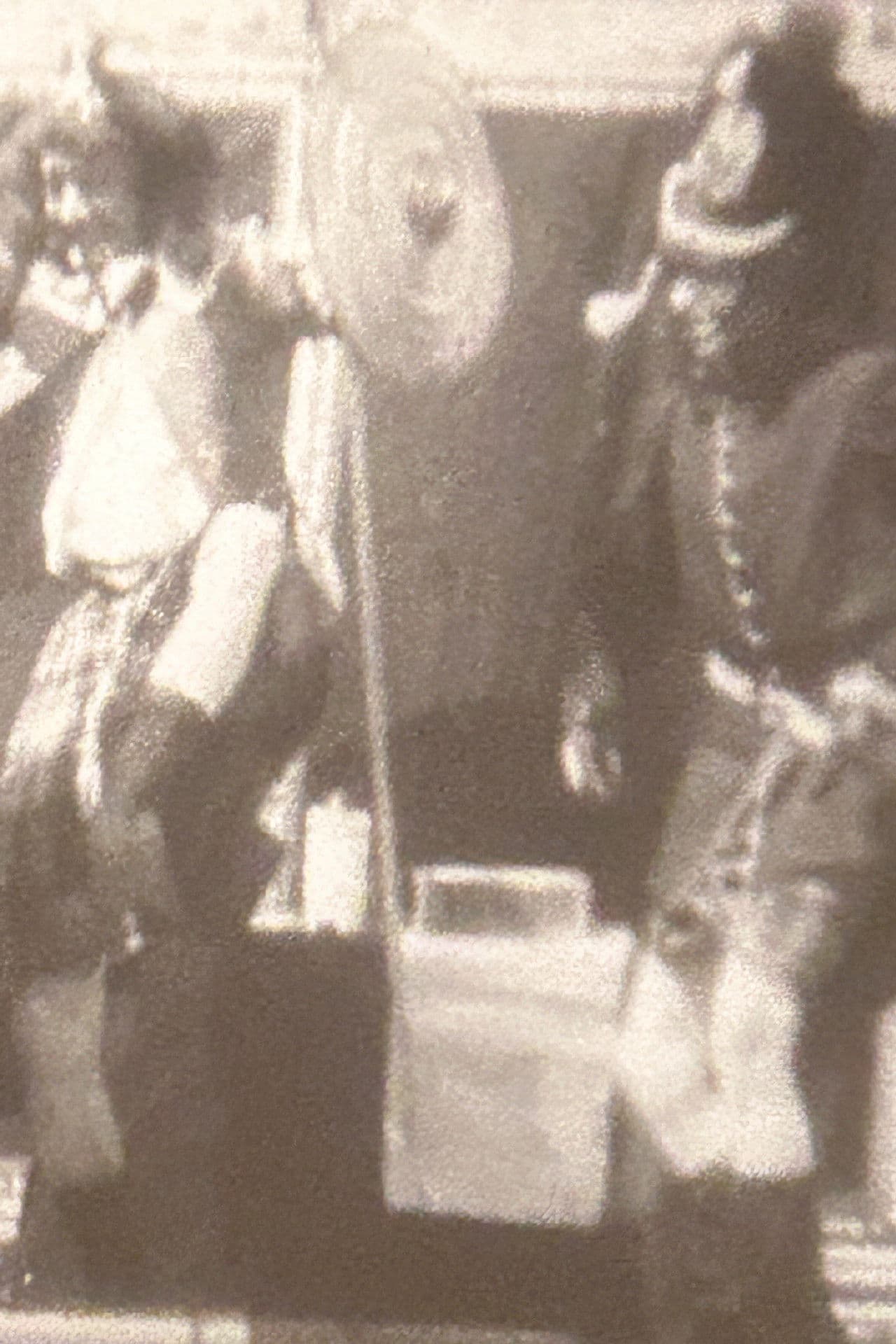 Dewar's Scotch Whisky