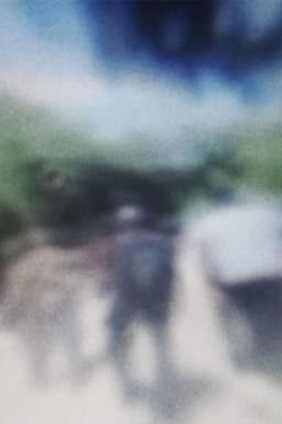 Capsules / Portraits