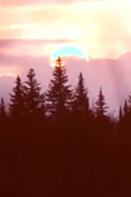 Spring film observations