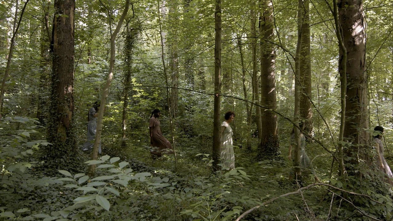 The Melusinas at the Edge of the River