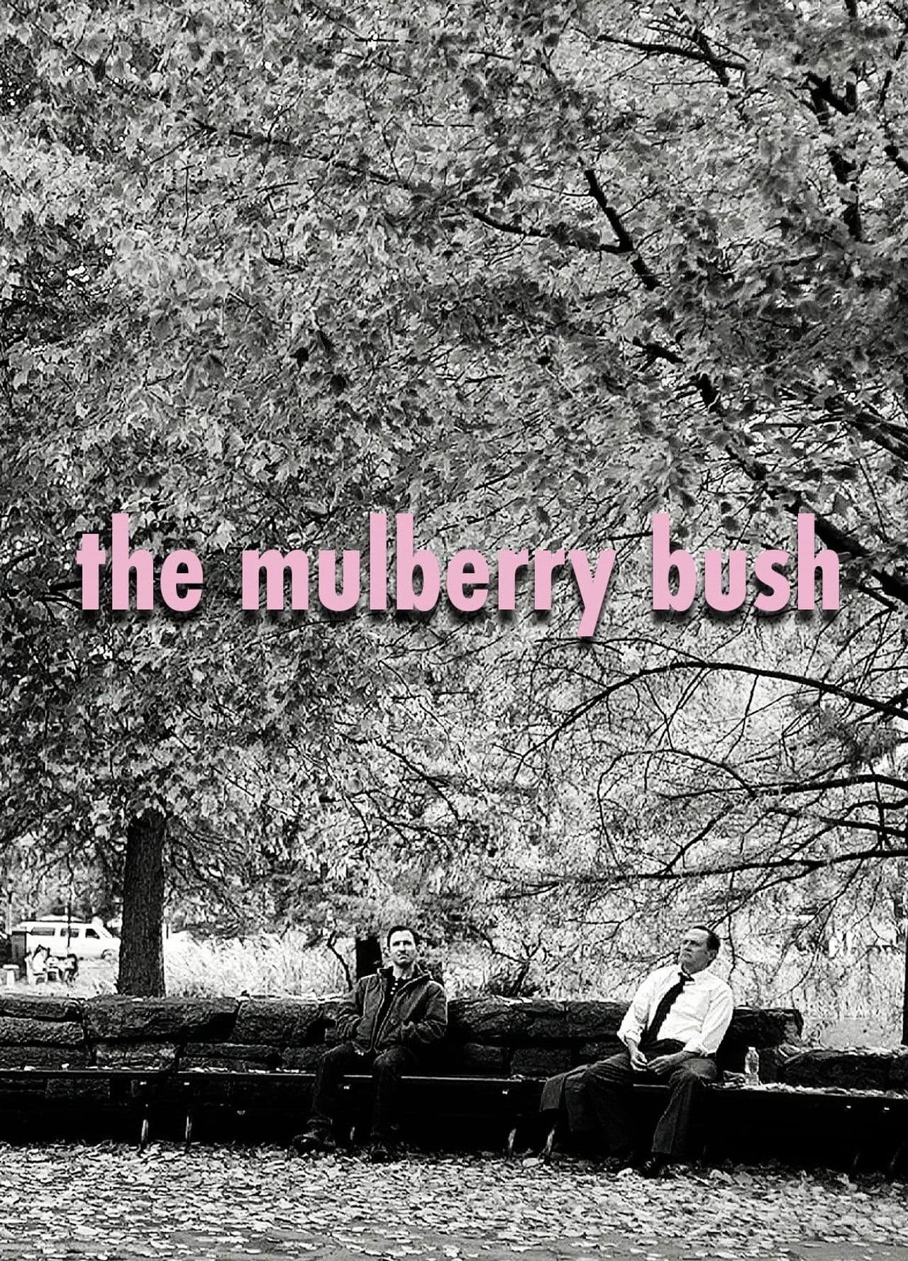 The Mulberry Bush