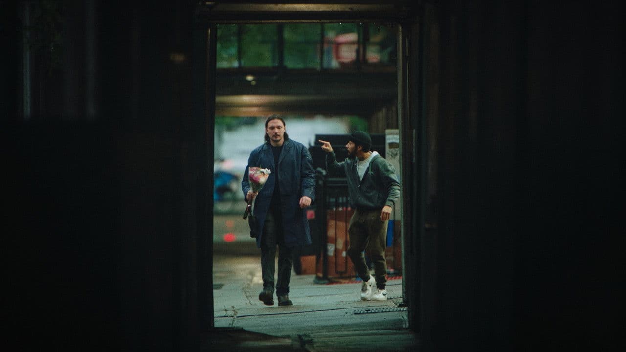 One Night in Brooklyn