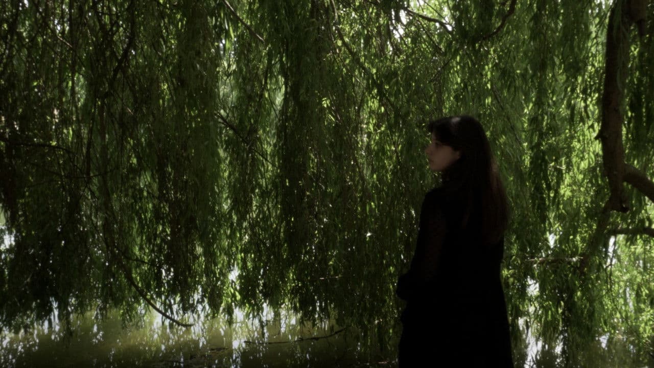 Que reste-t-il de nous ?