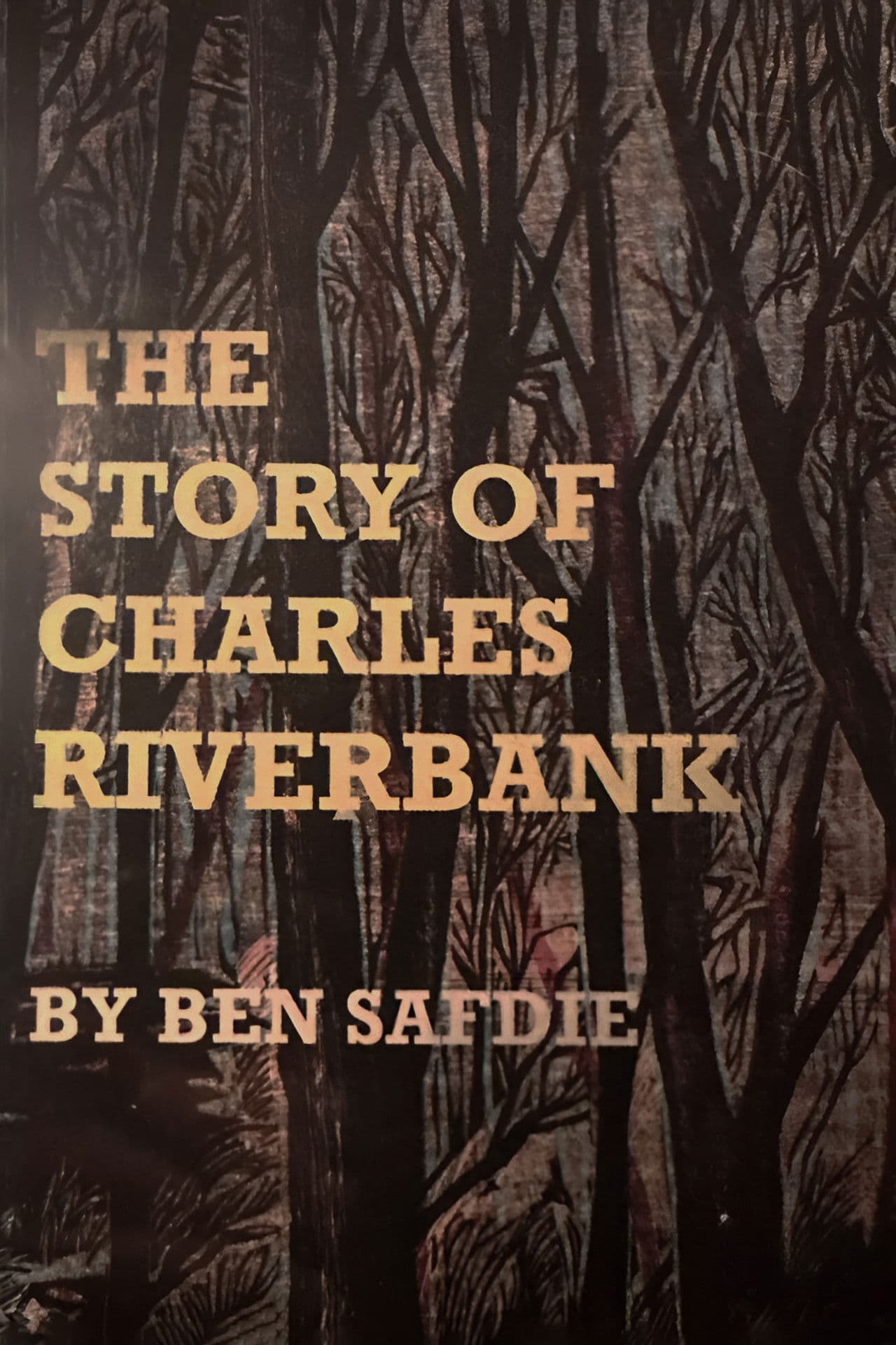 The Story of Charles Riverbank