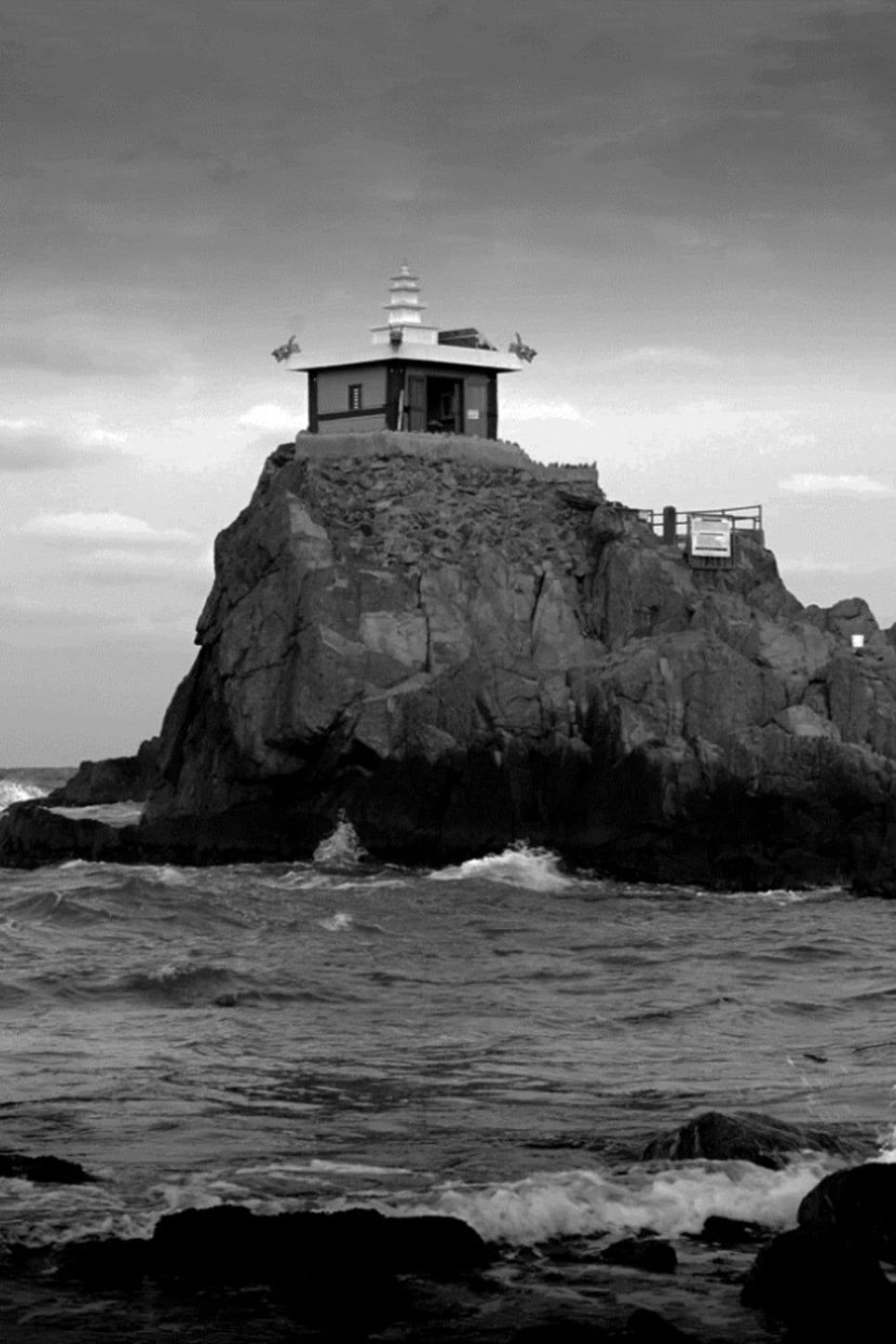 Transmigration: The Turtle and the Women