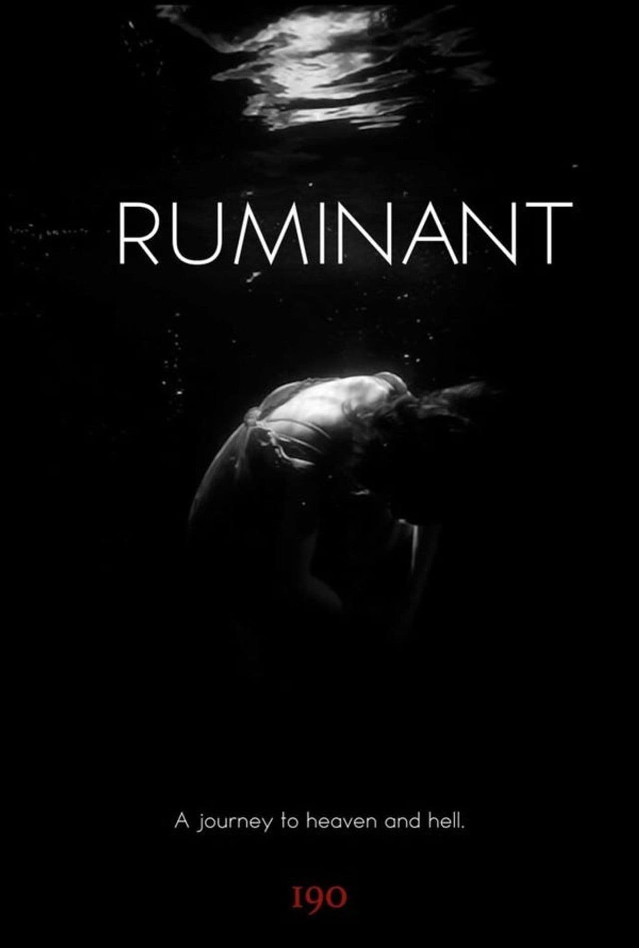 Ruminant