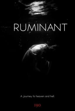 Ruminant