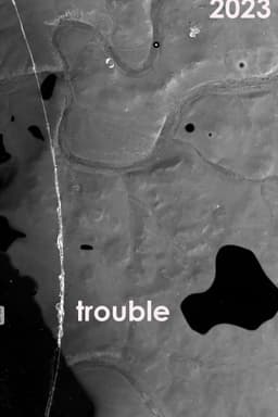 Trouble