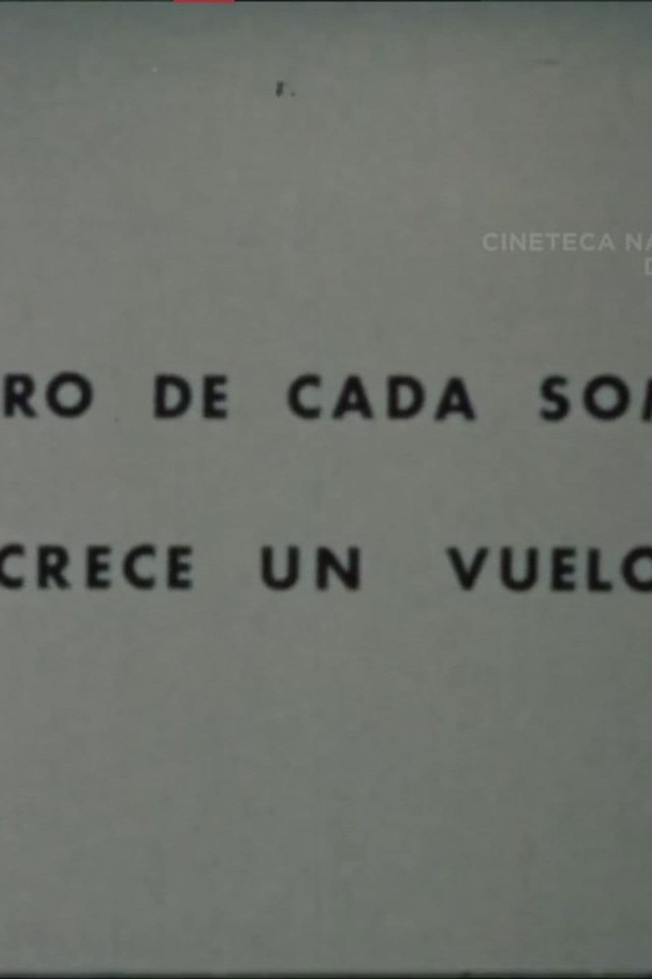 Dentro de Cada Sombra Crece un Vuelo
