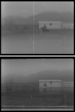 La Troya. Un caballo en movimiento