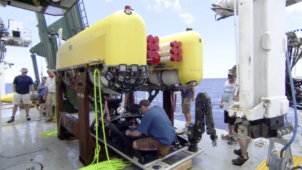 Dive to the Bottom of the World