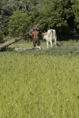 Where I Can’t Be Found