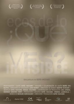 ¿Qué ves? Ecos de lo invisible