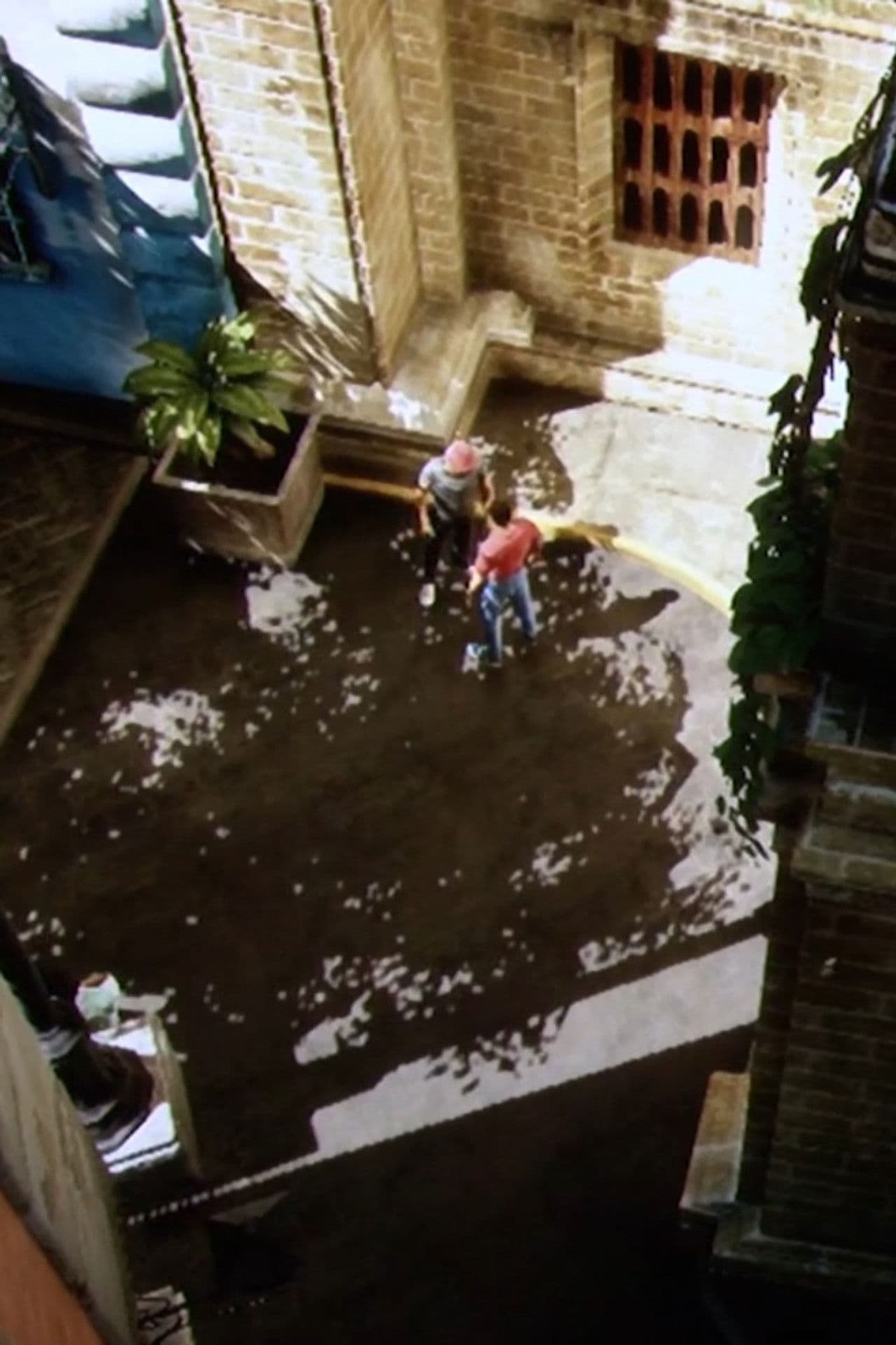 Imago (an incomplete work)