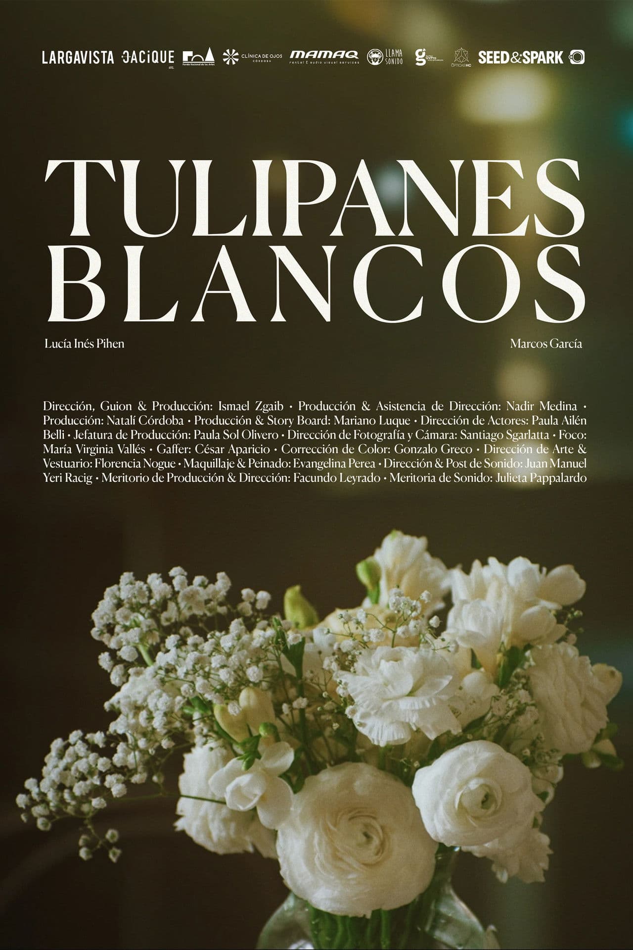 Tulipanes blancos
