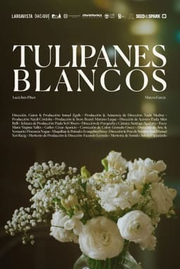 Tulipanes blancos