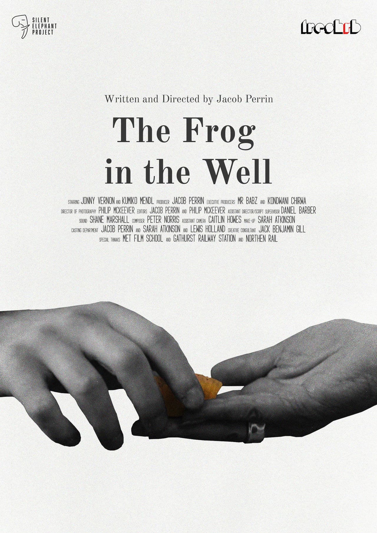 The Frog in The Well