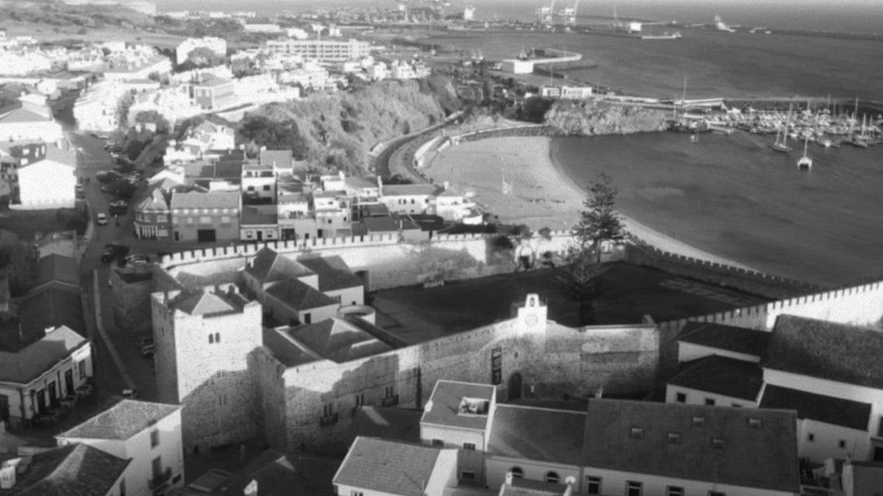 A Foot on Land and a Foot in the Sea