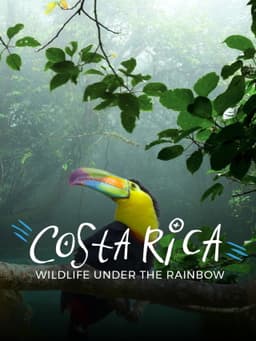 Costa Rica: Wildlife Under The Rainbow