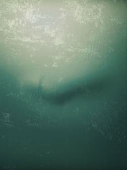 I Don't Want to Walk Alone