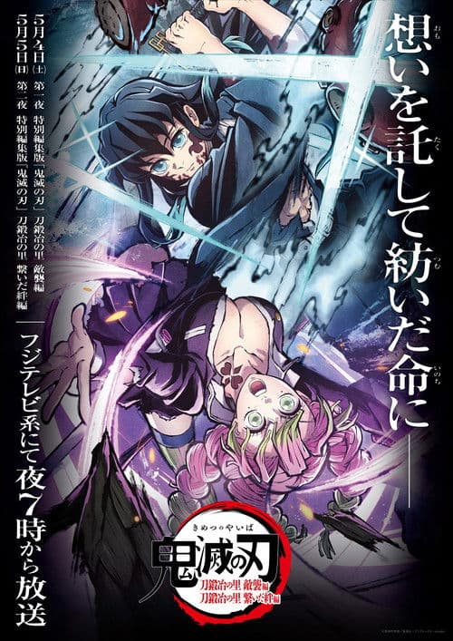 Demon Slayer: Kimetsu no Yaiba Special Edition Swordsmith Village Arc Part 2