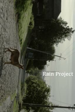 Rain Project