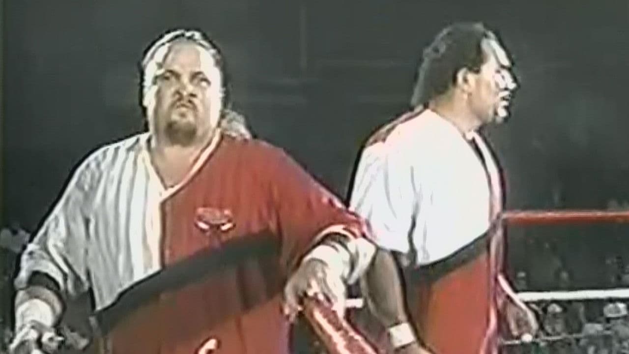 ECW Tag Wars 1994