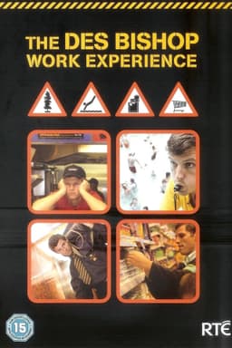 The Des Bishop Work Experience