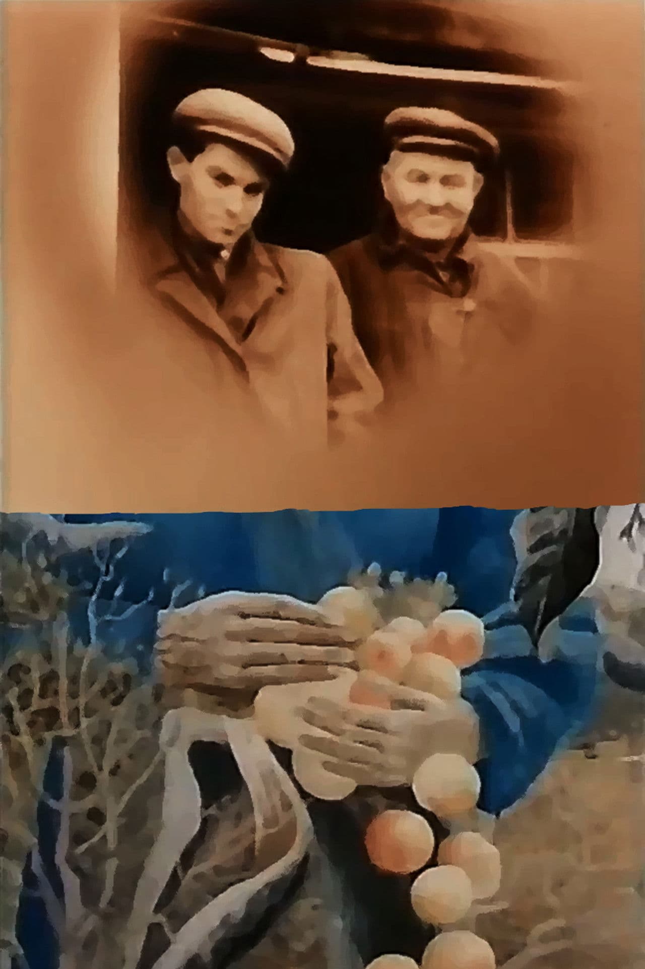 In the White Cold, the Sun of Ukraine