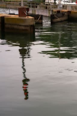 shinnecock bay: locks eddy