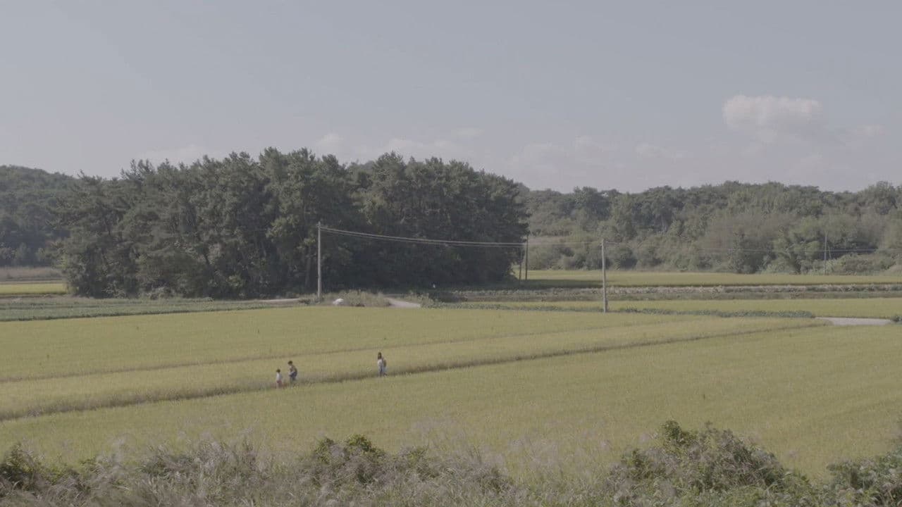 The House of Rising Sun