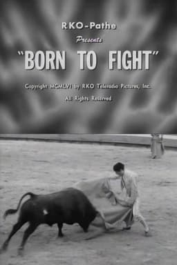 Born to Fight