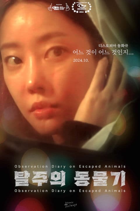 Observation Diary on Escaped Animals