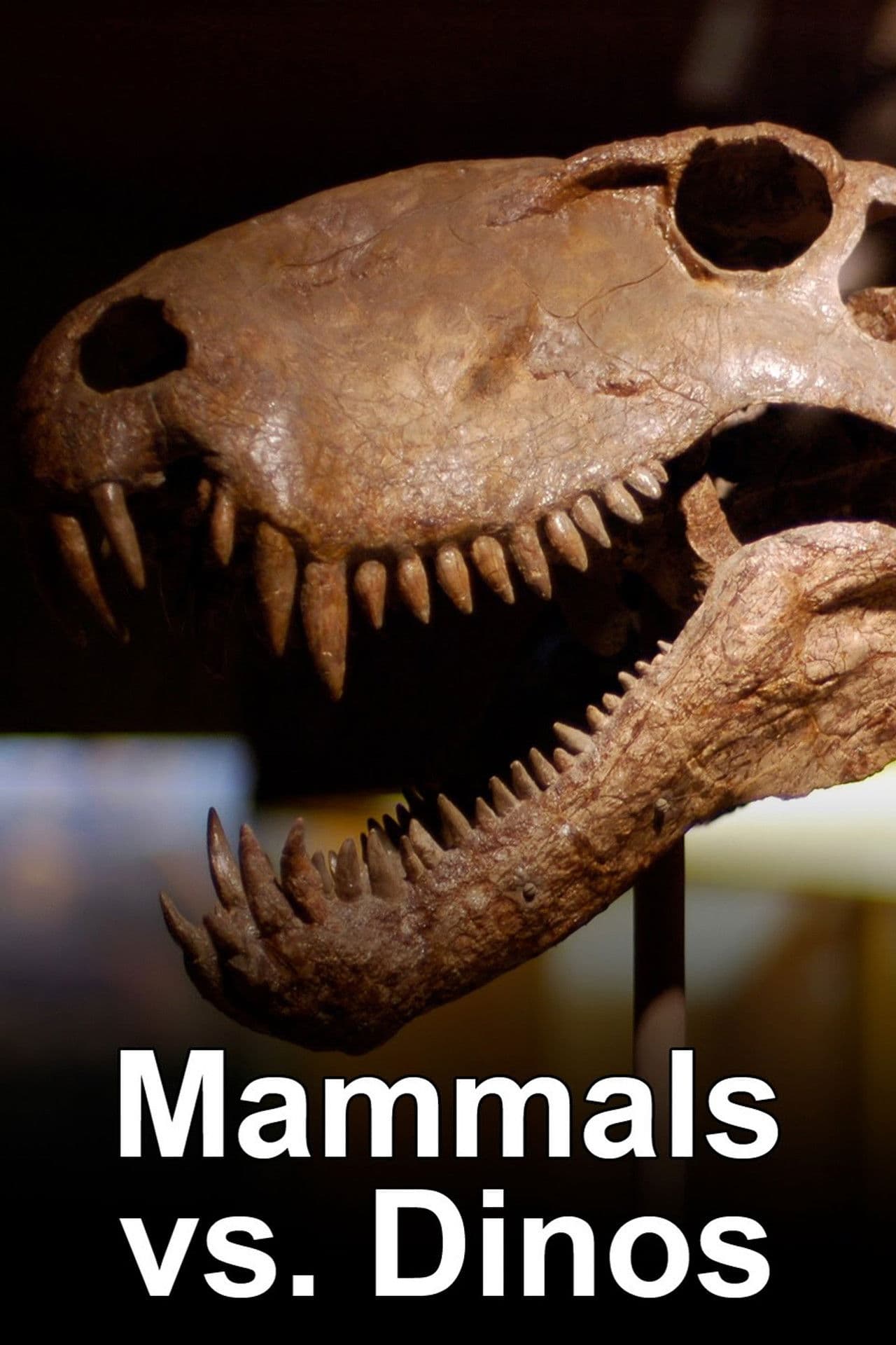 Mammals Vs. Dinos
