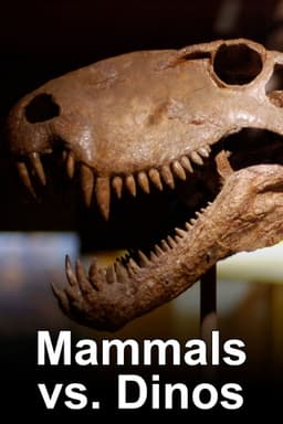 Mammals Vs. Dinos