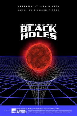 Black Holes: The Other Side of Infinity