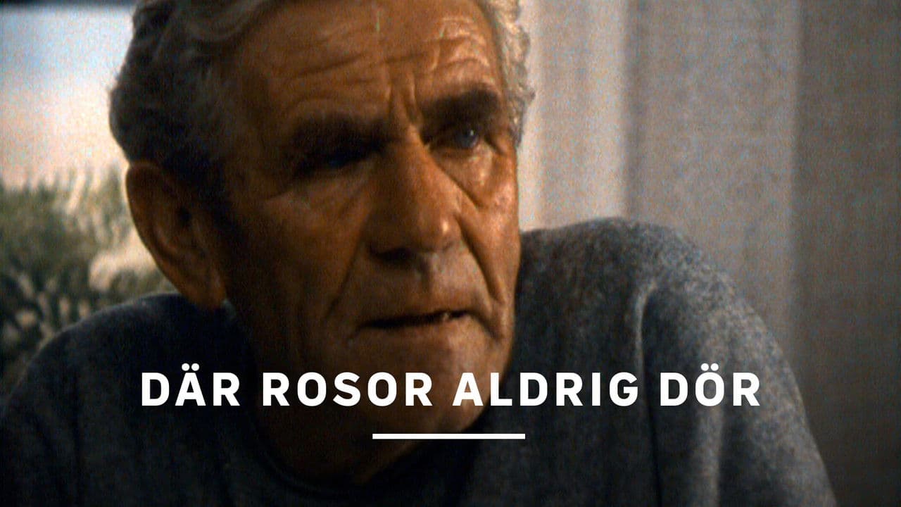 Där rosor aldrig dör