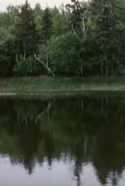 La voix des rivières