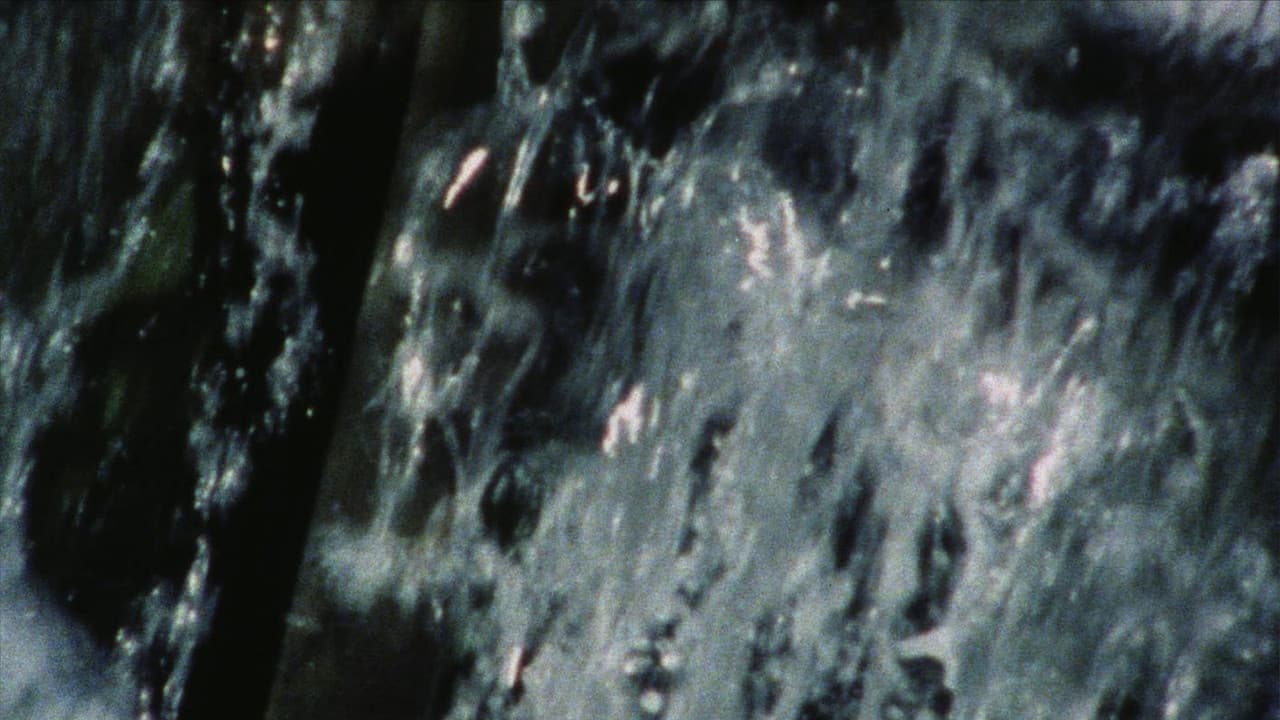 A Rain of Roses (To Rose Lowder)