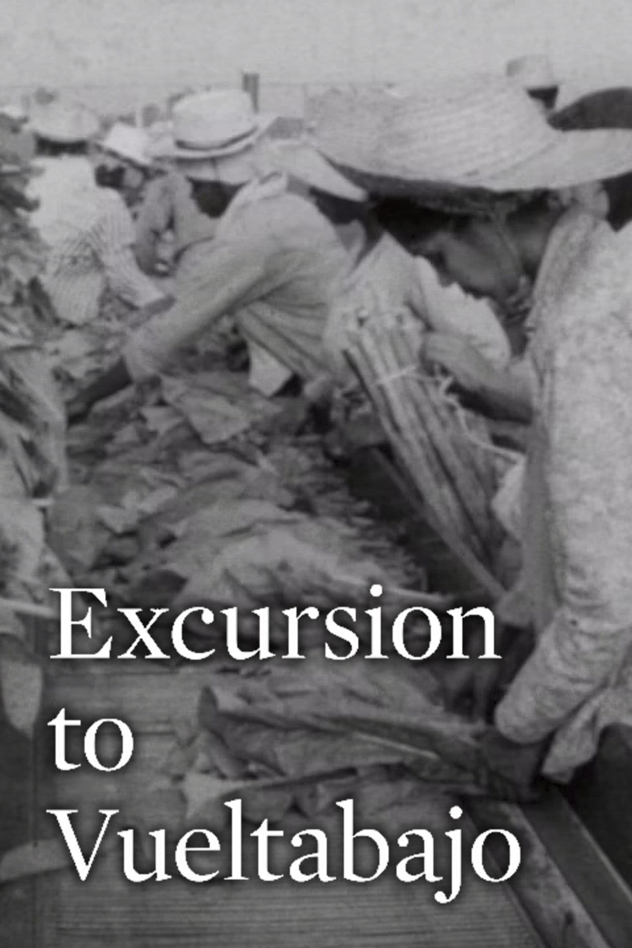 Excursion to Vueltabajo