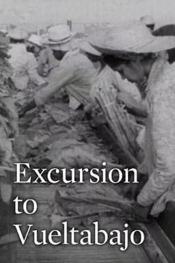 Excursion to Vueltabajo