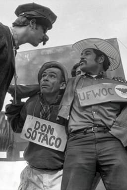 American Pachuco: The Legend of Luis Valdez