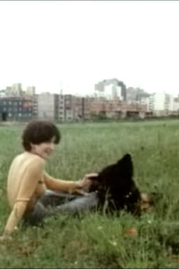 "...arm würd' ich nicht sagen..."