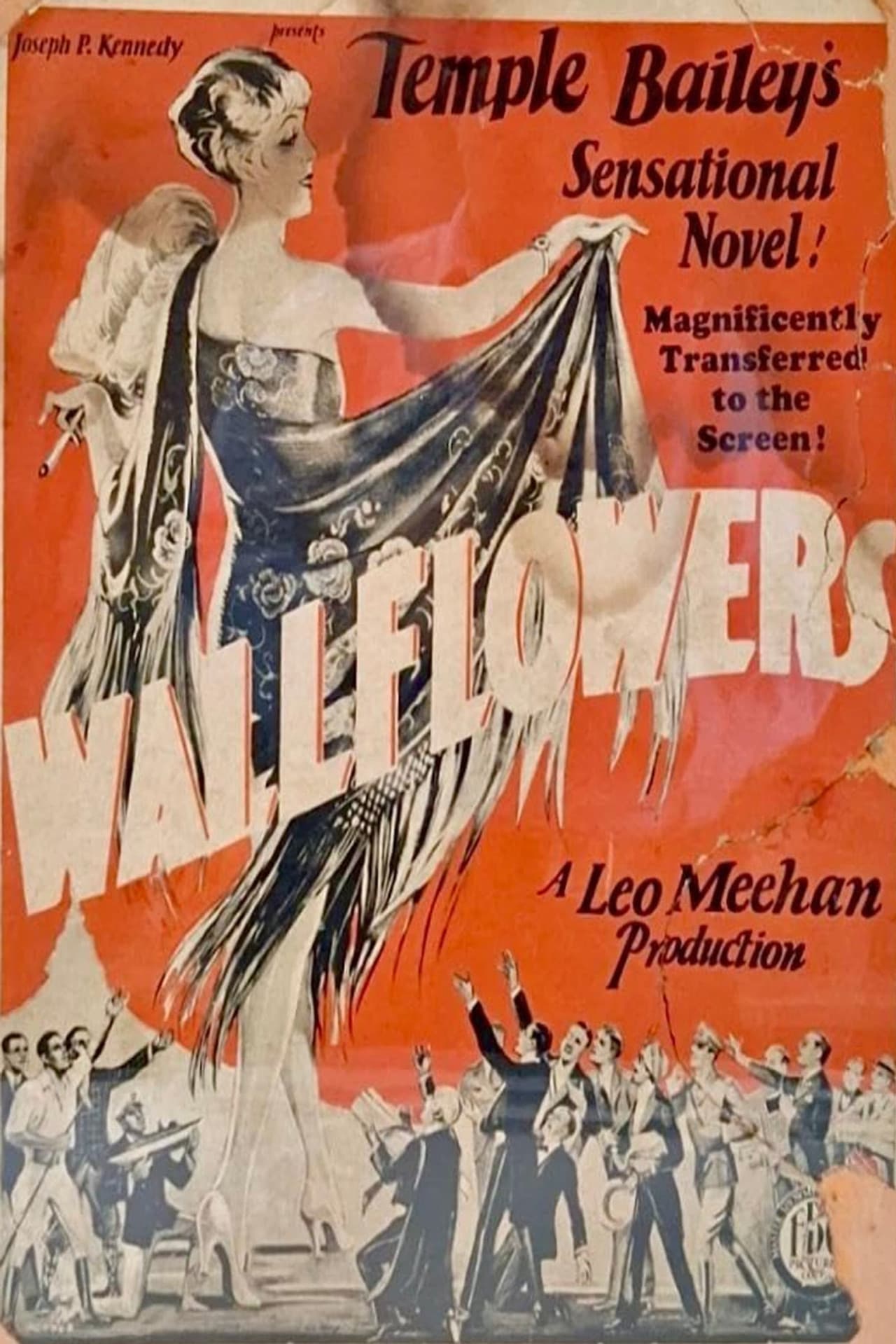 Wallflowers