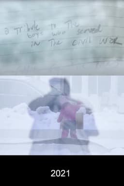 A tribute to the boys who served in the civil war...