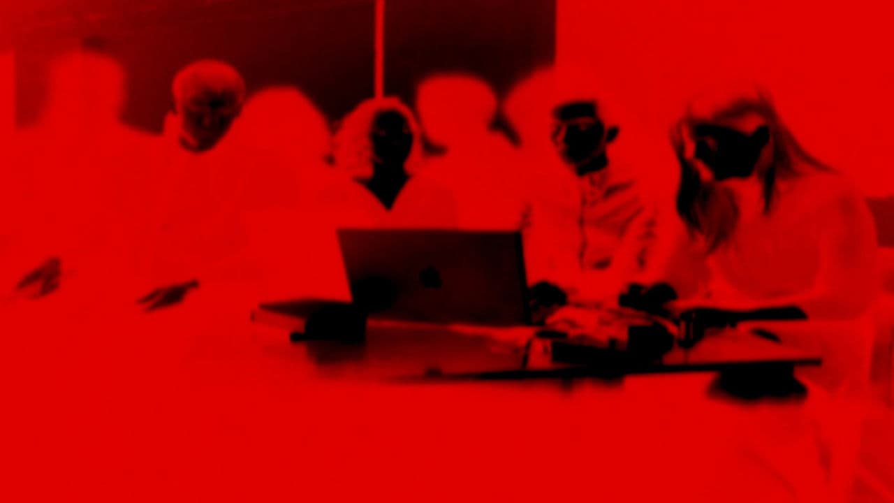 Saxifrages, Four White Nights