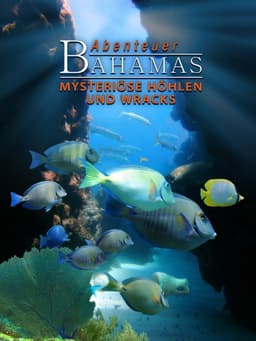 Adventure Bahamas 3D - Mysterious Caves And Wrecks