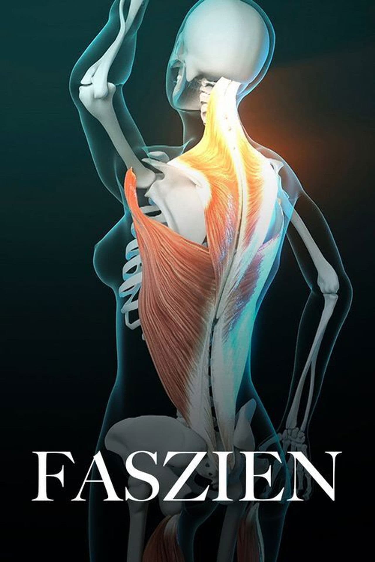 Fascinating Fasciae: The Hidden World Under Our Skin