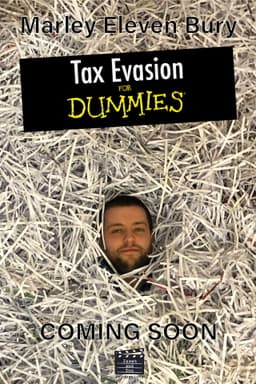 Tax Evasion for Dummies