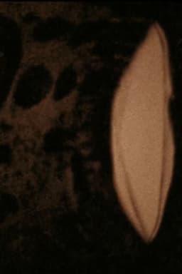 Mémoires imprimées